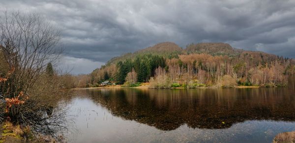 nature