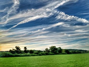Scenic view of field against sky