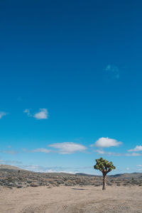 Scenic view of landscape against blue sky