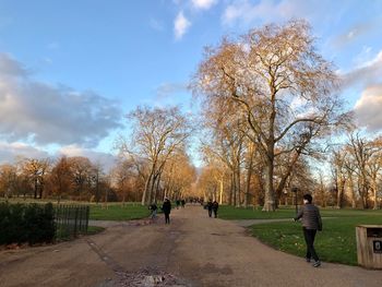 People walking on footpath in park