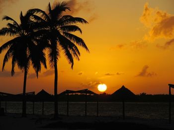Silhouette palm trees by sea against sky during sunset