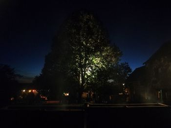 Silhouette trees by illuminated city against sky at night