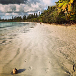 Scenic view of beach against cloudy sky