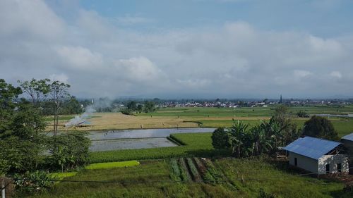 Scenic view of agricultural field against sky