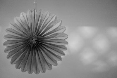 Close-up of white flower hanging on plant