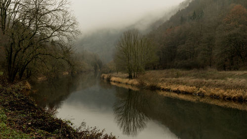 Scenic view of lake amidst trees in forest against sky