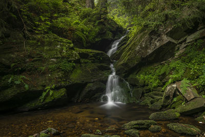 Scenic view of waterfall in forest