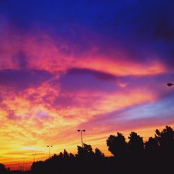 Silhouette trees against scenic sky