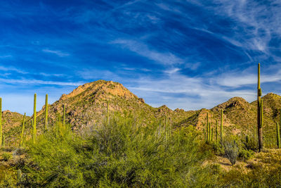 View of rock formations against sky