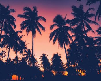 Silhouette palm trees against sky during sunset