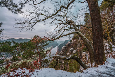 Panoramic view of the elbe sandstone mountains, germany.