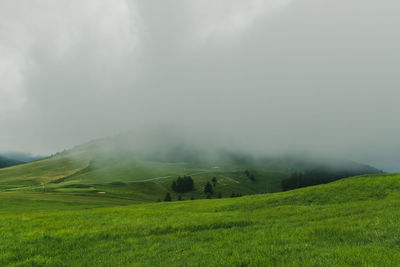environment