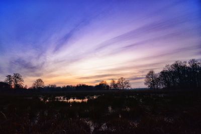 Silhouette trees on field against sky at sunset