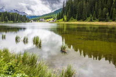 Scenic view of lake by trees