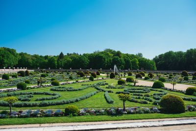 Scenic view of formal garden against clear blue sky