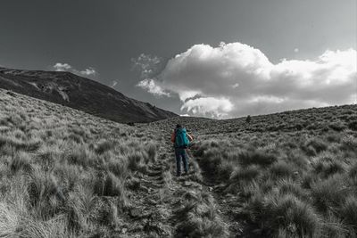 Rear view of man on field against sky