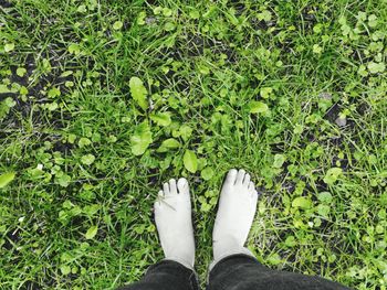 Low section of woman standing on grassy field