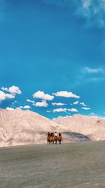 People riding motorcycle on desert