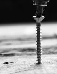 Close-up of screw being tighten on wood