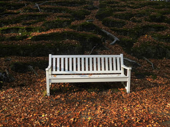 Empty bench in park during autumn