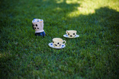 Little girl playing on grassy field