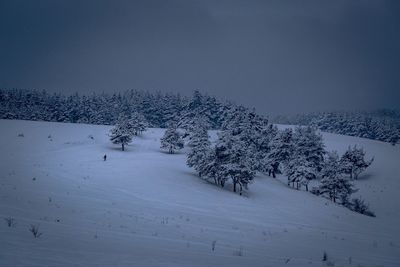 Trees on snow covered landscape against sky