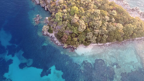 Aerial view of sea