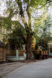 Street amidst trees and buildings in park