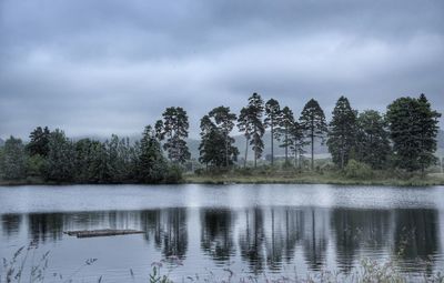 Reflection of trees in lake against sky