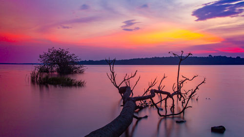 Silhouette bare tree by lake against romantic sky at sunset