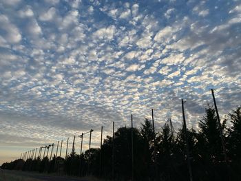 Low angle view of silhouette trees on field against sky