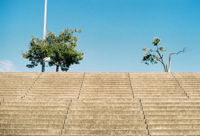 Low angle view of tree against clear sky