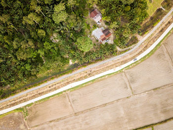 High angle view of agricultural field