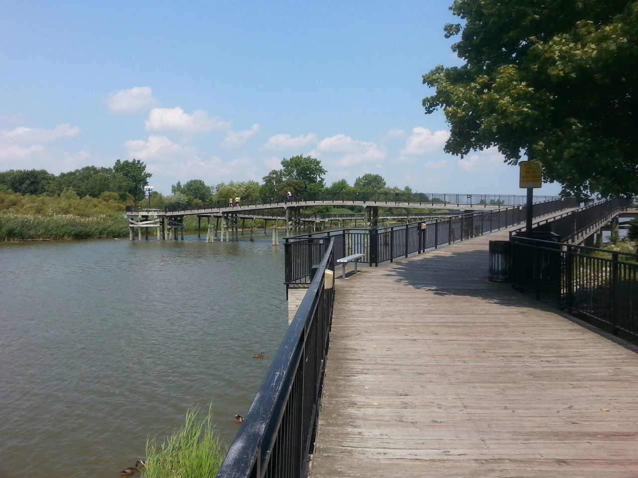 water, connection, bridge - man made structure, built structure, tree, railing, architecture, sky, footbridge, bridge, river, the way forward, tranquility, tranquil scene, pier, diminishing perspective, nature, long, day, cloud