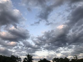 Low angle view of trees against sky