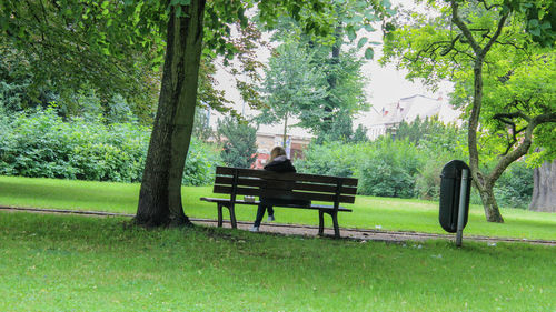 Rear view of man sitting on bench in park