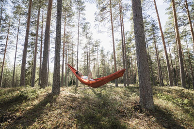 Man reading book in hammock in forest