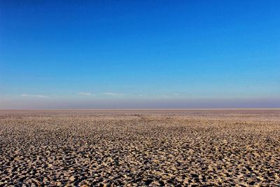 Surface level of sandy beach against clear blue sky