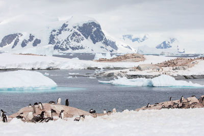 Scenic view of snowcapped mountains during winter