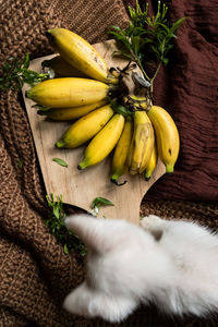 High angle view of fruit on table