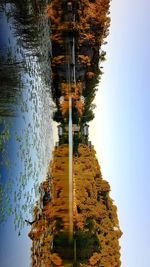 Scenic view of lake against sky during autumn