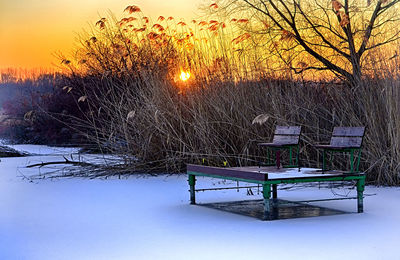 Chairs and table against trees during winter