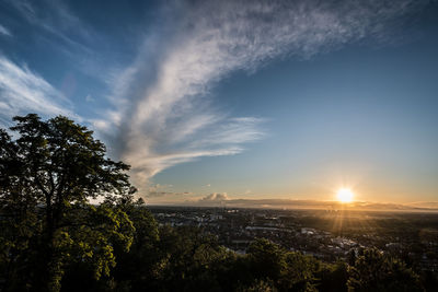 Trees and cityscape against sky during sunset