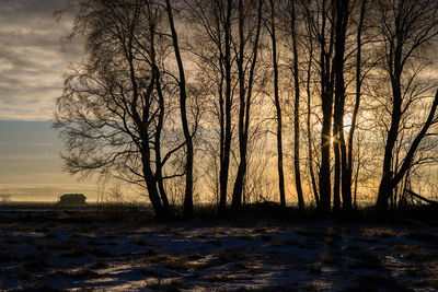 Bare trees on snow field against sky during winter