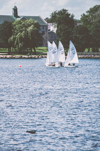 Sailboat sailing on lake against sky