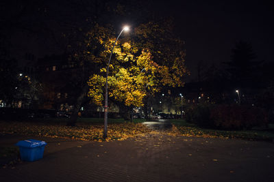 Illuminated street lights by trees at night