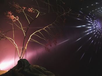 Low angle view of fireworks against sky at night