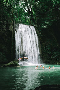 Scenic view of waterfall in forest