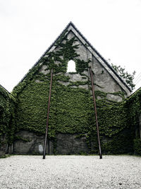 Low angle view of green ivy growing on abandoned building against sky