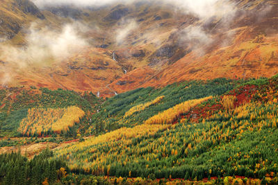 Scenic view of mountains in forest